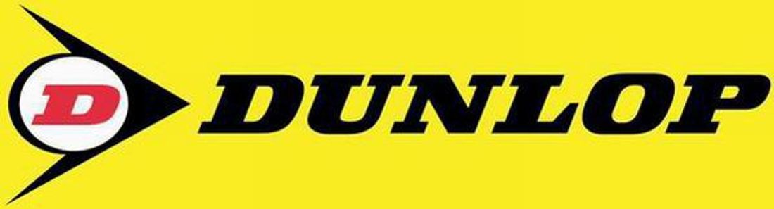 Dunlop Mutant 160/60ZR17 (69W) TL M+S MC vinterdekk Reinforced Bakdekk